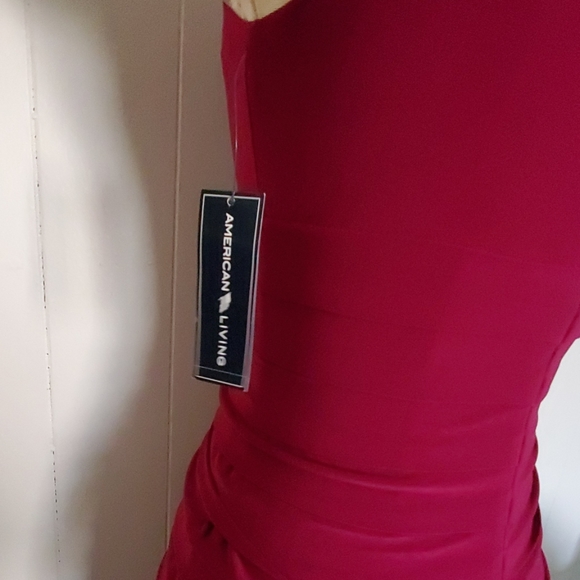 NWT American living Jersey cowl & pleats dress - Picture 6 of 6